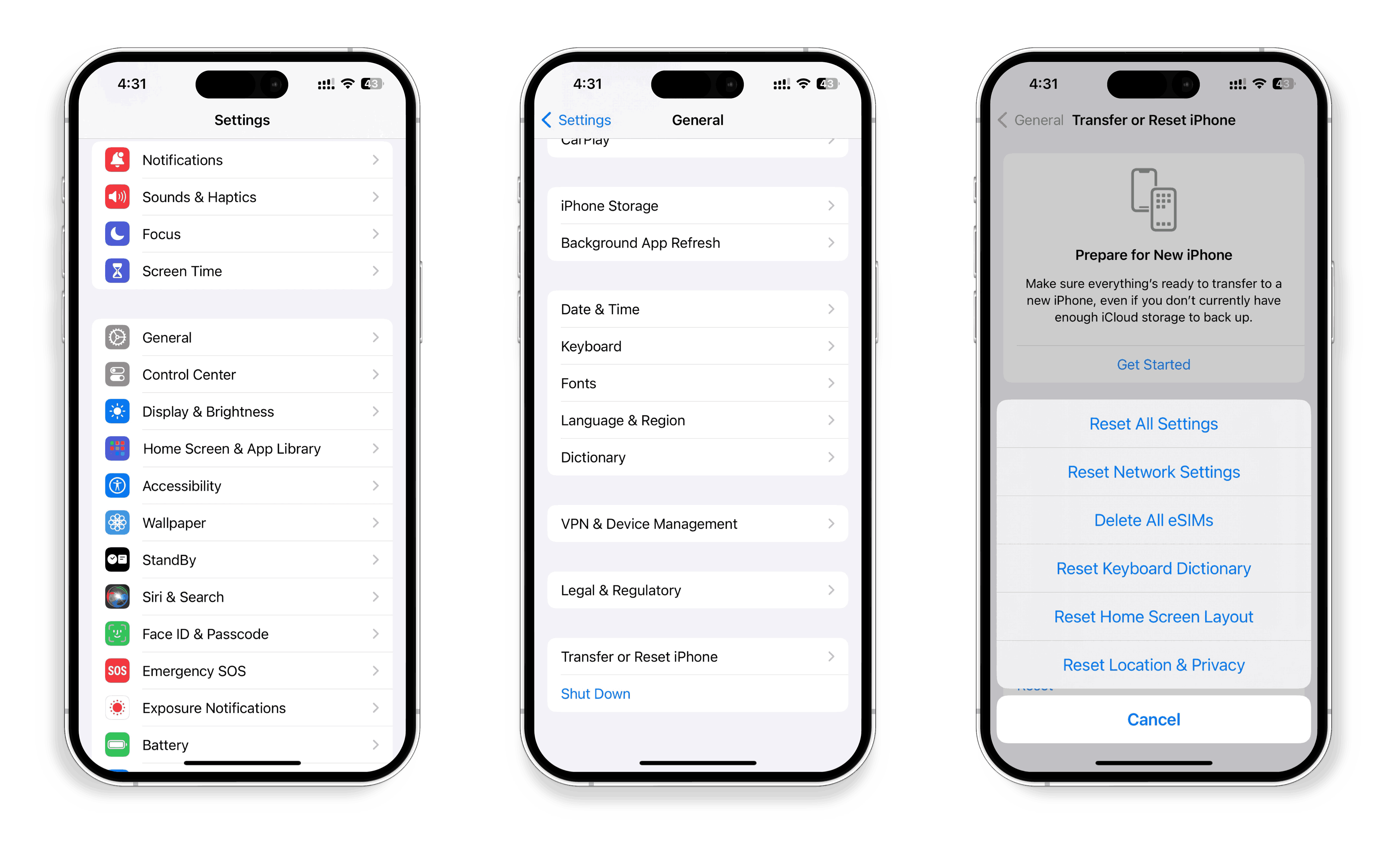 iPhone Network Reset